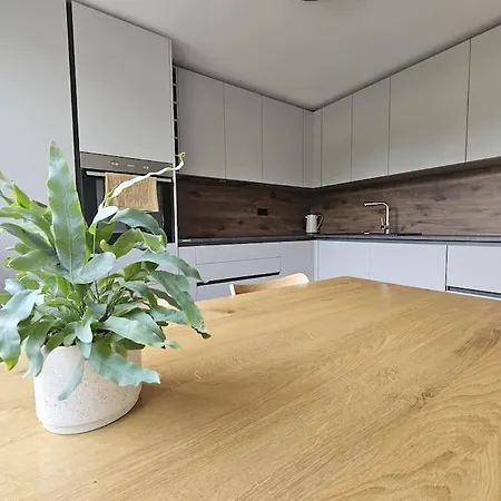 Modern Konjice 아파트 슬로벤스케코니스