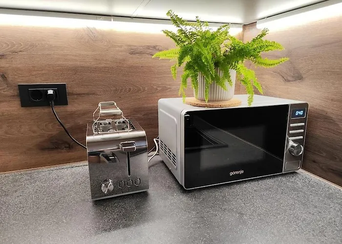 Modern Konjice 公寓 *