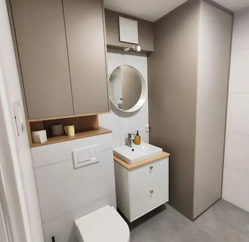 Modern Konjice 斯洛文尼亚科尼采