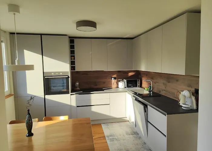 Modern Konjice * 斯洛文尼亚科尼采