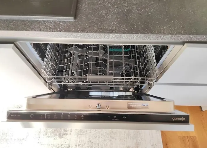 Modern Konjice * 斯洛文尼亚科尼采