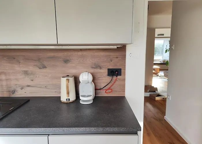 Modern Konjice 公寓 斯洛文尼亚科尼采