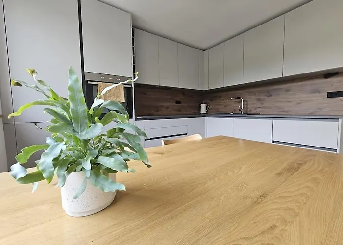 Modern Konjice 公寓 斯洛文尼亚科尼采